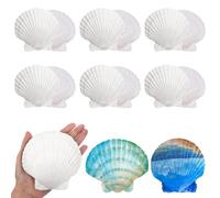 NCOALE 15 capesante grandi, 9 - 10 cm, per fai da te, conchiglie naturali, da dipingere, per fai da te, decorazione per la casa, acquario (bianco)