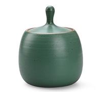 NCQIXIAO Taniche da cucina retrò in ceramica a forma di forte con coperchio ermetico in silicone per tè, caffè, noci, erbe, spezie, zucchero (verde)
