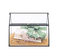 NCYP Scatola in vetro con coperchio per matrimoni, compleanni, feste, ricevimenti, 26 x 15 x 20 cm, decorazione per la casa, grande vaso per terrario, nero (solo scatola di vetro)