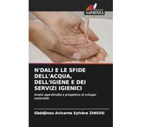 N'DALI E LE SFIDE DELL'ACQUA, DELL'IGIENE E DEI SERVIZI IGIENICI: Analisi approfondita e prospettive di sviluppo sostenibile