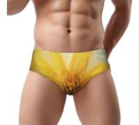 NDDCEDEW Slip da uomo a triangolo con stampa floreale margherita, vita bassa, morbido, traspirante, assorbente (S-3XL), Nero , XXL