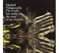 Ndegeocello,Meshell - The World Has Made Me the Man of My
