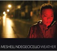 Ndegeocello, Meshell - Weather