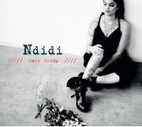 Ndidi Onukwulu - Dark Swing