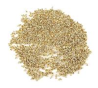 NDNCZDHC 1000pcs Occhiali Apicoltura, Occhiali a Trama di Alveare, Occhielli di Alveare in Ottone per telai delle api, Foro di d'ottone