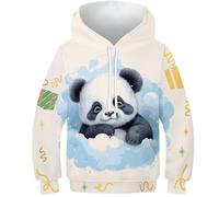NEAFP Hoodie per Bambini Perfetto per Il Ritorno A Scuola con Stampa 3D Panda - Felpa per Bambini Resistente, Sweatshirt per Bambini per Il Gioco