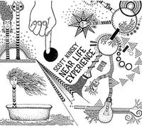 Near Life Experience - Scott Kinsey (Audio cd)