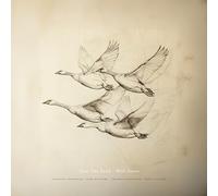 NEAR THE POND - WILD GEESE - CD - K72z
