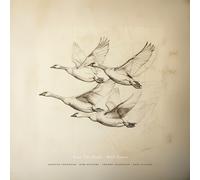 Near the Pond Wild Geese (Vinyl LP) 12" Album