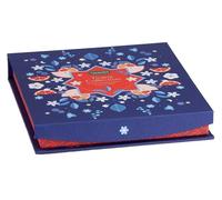Neavita Tisana Collection - Cofanetto Quadrato Blu Tisane Assortite, 27 Filtri BIO