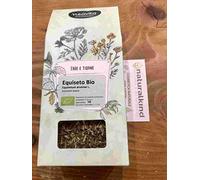 NEAVITA Tisana di Equiseto sommità Bio 50 gr Equisetum arvense