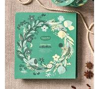 NEAVITA Tisana Time Collection Cofanetto Quadrato Verde