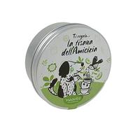 Neavita Tisane e Parole - Tiny Tin Tisana dell'Amicizia Limone e Zenzero, 40g