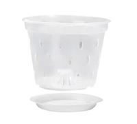 NeaxgeandX Vaso per orchidee scanalate, trasparente, per rinvasare piante da fiori da 12,7 cm con piattino, 12,7 cm