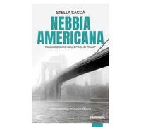 Nebbia americana. Paura e delirio nell'epoca di Trump