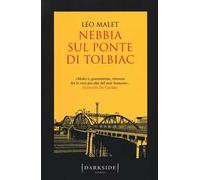 Nebbia sul ponte di Tolbiac