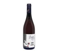 Nebbiolo Bajaj 2023