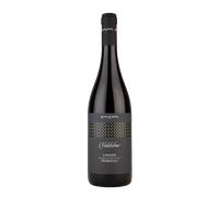 Nebbiolo d'Alba 'Valdolmo' Vite Colte 2025