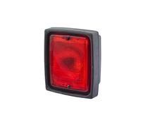 HELLA 2NE 004 432-011 Retronebbia, Alogeno, 24/12V, Montaggio, esterno/Montaggio, interno, colore diffusore luce cristallino, Spina Spina piatta, Sx/Dx