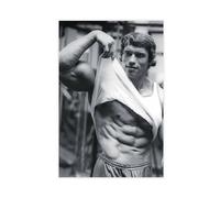 NebulaNova Arnold Schwarzenegger, 5 poster su tela, decorazione per camera da letto, sport, paesaggio, ufficio, camera da letto, regalo, stile Unframe 40 x 60 cm