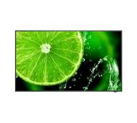 NEC MultiSync E438 43" Display