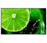 NEC E658 MONITOR, 65 ", UHD 4K, 3840 x 2160 Pixel, tempo di risposta 8 ms