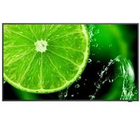 Nec e868 86" display