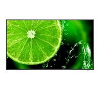 NEC MultiSync E498 124,5 cm (49") IPS 350 cd/m² 4K Ultra HD Nero 16/7