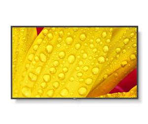 NEC MultiSync M431-2 Design chiosco 1092 cm (43") LED 500 cd/m 4K Ultra HD Nero Processore integrato NEW