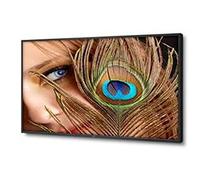 NEC Multisync P402 LCD Monitor 40 "