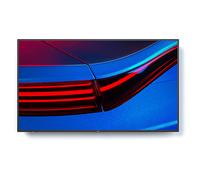 NEC P495 MONITOR, 49 ", UHD 4K, 3840 x 2160 Pixel, tempo di risposta 8 ms