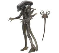 NECA Alien 40th Anniversary Wave 4 Action Figure 17123
