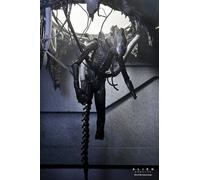 Neca Alien Romulus Suspended Lab Xenomorph XX121