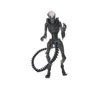 PREORDER Alien: Romulus Ultimate: SCORCHED XENOMORPH by Neca