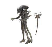 NECA Alien Xenomorph 40th Anniversary, Cranberry