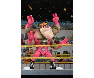 NECA Stump Arena TMNT Adventures Cryin' Houn'