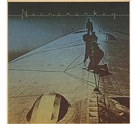 Necromonkey (Black) a Glimpse of Possible Endings (Vinyl LP)