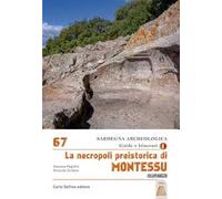 Necropoli preistorica di Montessu