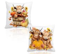 NECXON 2 Pezzi di copricuscini con Mucca delle Highland, copricuscini Decorativi con Mucca delle Highland, Regalo Scozzese per Donne, copricuscini per Divano e Sedia (50x50 cm)