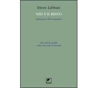 Ned e il resto. Romanzo in 89 frammenti