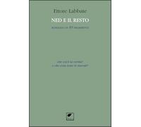 Ned e il resto. Romanzo in 89 frammenti