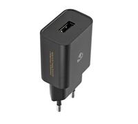 Nedis, Caricabatterie 12W USB-A 2.4A Veloce per Smartphone e Tablet, Nero