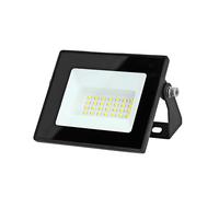 Nedis, Proiettore LED Esterno 20W 1620 Lumens 4000K IP44, Nero
