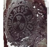 Ned's Atomic Dustbin Brainbloodvolume (Vinyl LP)