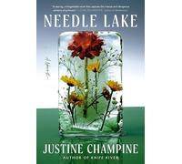 Needle Lake: A Novel