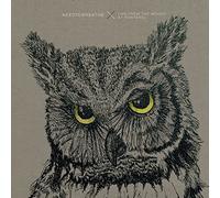 Needtobreathe - Live From The Woods (2 CD)