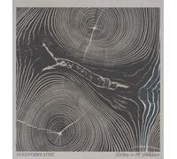 NEEDTOBREATHE Rivers in the Wasteland (Vinyl LP)