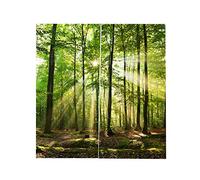 Neel Tenda della Finestra di Stampa della Luce Solare della Foresta del Paesaggio della Natura, Tenda della Camera da Letto, Tenda della Doccia di Modo Camera da Letto del(170 * 200cm)