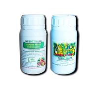 Neem Italia - Olio di Neem e Sapone Molle Potassico 250+250 ml, l’Olio Solubile Agisce Naturalmente contro Insetti e Funghi, il Sapone Molle di Potassio Potenzia le Proprietà del Trattamento
