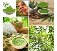 Neem Leaf Powder 500 g Azadirachta Indica 1,1 libbre Margosa bio essiccato 1,...